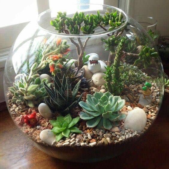 You need these layers in your terrarium – Planted Glass Terrariums